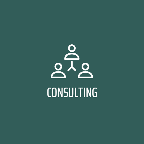 Consulting